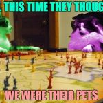 Imperialism RayCats | ALL THIS TIME THEY THOUGHT; WE WERE THEIR PETS | image tagged in imperialism raycats,memes | made w/ Imgflip meme maker