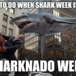 Sharknado | WHAT TO DO WHEN SHARK WEEK IS OVER; SHARKNADO WEEK | image tagged in sharknado | made w/ Imgflip meme maker