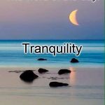 Shore | The word of the day:; Tranquility; sotto voice | image tagged in shore | made w/ Imgflip meme maker