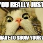 Funny animals | DID YOU REALLY JUST ASK; IF YOU HAVE TO SHOW YOUR WORK? | image tagged in funny animals | made w/ Imgflip meme maker