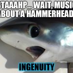 Surprised Shark | STAAAHP... WAIT, MUSIC ABOUT A HAMMERHEAD? INGENUITY | image tagged in surprised shark | made w/ Imgflip meme maker