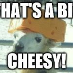 Llama cheese hat | THAT'S A BIT; CHEESY! | image tagged in llama cheese hat | made w/ Imgflip meme maker