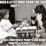 Tea Party | NEED A LITTLE MORE ROOM FOR THAT PARTY? BOOK A FUNCTION AT PADDY'S AND BRING YOUR PALS TO PARTY. | image tagged in tea party | made w/ Imgflip meme maker