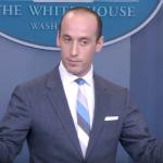 Stephen Miller cosmopolitan meme