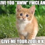 Cute cats | IZ GIVE YOU "AWW" FWCE AND U; GIVE ME YOUR ZOUL K K | image tagged in cute cats | made w/ Imgflip meme maker