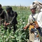 Taliban Opium