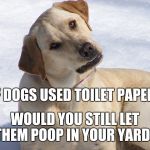 dog huh? | IF DOGS USED TOILET PAPER... WOULD YOU STILL LET THEM POOP IN YOUR YARD? YAHBLE | image tagged in dog huh | made w/ Imgflip meme maker