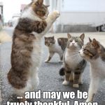 Cat Pastor | ... and may we be truely thankful. Amen. | image tagged in cat pastor | made w/ Imgflip meme maker