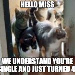 Meow. | HELLO MISS; WE UNDERSTAND YOU'RE SINGLE AND JUST TURNED 40 | image tagged in herd of cats,crazy cat lady,iwanttobebacon,iwanttobebaconcom,40 | made w/ Imgflip meme maker