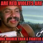 cheech and chong blunt | ROSES ARE RED VIOLETS ARE VIOLET; IM FREAKING HIGHER THAN A FIGHTER JET PIOLET | image tagged in cheech and chong blunt | made w/ Imgflip meme maker