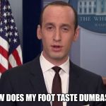 I love this guy.  | HOW DOES MY FOOT TASTE DUMBASS? | image tagged in steven miller,liberal logic,butthurt,funny memes,donald trump | made w/ Imgflip meme maker