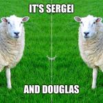 Two Sided Sheep | IT'S SERGEI; AND DOUGLAS | image tagged in two sided sheep | made w/ Imgflip meme maker