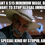 The law of supply and demand | YOU WANT A $15 MINIMUM WAGE, BUT YOU DON'T WANT TO STOP ILLEGAL IMMIGRATION; YOU'RE A SPECIAL KIND OF STUPID, AREN'T YOU | image tagged in liberal logic,minimum wage,illegal immigration,stupid liberals,special kind of stupid,economics | made w/ Imgflip meme maker