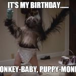 Puppy Monkey Baby | IT'S MY BIRTHDAY...... PUPPY-MONKEY-BABY, PUPPY-MONKEY-BABY | image tagged in puppy monkey baby | made w/ Imgflip meme maker