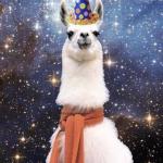 large happy birthday cosmic alpaca