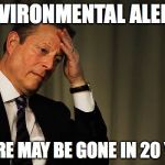 Al Gore Facepalm | ENVIRONMENTAL ALERT! AL GORE MAY BE GONE IN 20 YEARS | image tagged in al gore facepalm,environmental | made w/ Imgflip meme maker