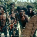Congo Tribe