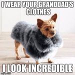 I'm in this big ass coat... | I WEAR YOUR GRANDDAD'S CLOTHES; I LOOK INCREDIBLE | image tagged in i'm in this big ass coat | made w/ Imgflip meme maker