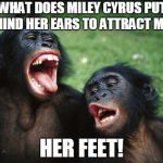 Bonobo Lyfe | WHAT DOES MILEY CYRUS PUT BEHIND HER EARS TO ATTRACT MEN? HER FEET! | image tagged in memes,bonobo lyfe | made w/ Imgflip meme maker