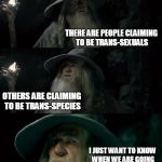 Gandolf I have no memory of this place | THERE ARE PEOPLE CLAIMING TO BE TRANS-SEXUALS; OTHERS ARE CLAIMING TO BE TRANS-SPECIES; I JUST WANT TO KNOW WHEN WE ARE GOING TO GET TRANSFORMERS | image tagged in gandolf i have no memory of this place | made w/ Imgflip meme maker