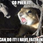 Go Pher It! | GO PHER IT! YOU CAN DO IT! I HAVE FAITH IN YOU! | image tagged in encouraging gopher,gophers,faith | made w/ Imgflip meme maker