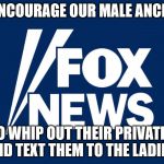criminal fox news | WE ENCOURAGE OUR MALE ANCHORS; TO WHIP OUT THEIR PRIVATES AND TEXT THEM TO THE LADIES! | image tagged in criminal fox news | made w/ Imgflip meme maker