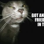 Stalker Cat | GOT ANY FRENCH FRIED TATERS IN THERE? | image tagged in stalker cat | made w/ Imgflip meme maker