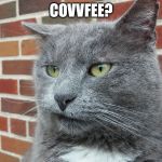 Evil Cat | COVVFEE? | image tagged in evil cat | made w/ Imgflip meme maker