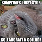 Faded Cat | SOMETIMES I JUST STOP; COLLABORATE N COLLUDE | image tagged in faded cat | made w/ Imgflip meme maker