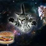 Cat Space Burger