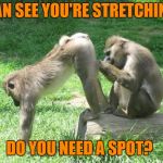 Ass spot | I CAN SEE YOU'RE STRETCHING... DO YOU NEED A SPOT? | image tagged in monkeyass,stretching,gym memes,funny memes,yoga pants week | made w/ Imgflip meme maker