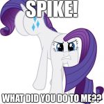 WTF Rarity | SPIKE! WHAT DID YOU DO TO ME?? | image tagged in wtf rarity,funny,memes,face swap,my little pony friendship is magic,spike is a devious dude | made w/ Imgflip meme maker
