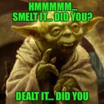 Yoda Farted | HMMMMM... SMELT IT... DID YOU? DEALT IT... DID YOU | image tagged in yoda farted | made w/ Imgflip meme maker