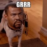 Noice | GRRR | image tagged in noice | made w/ Imgflip meme maker