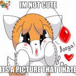 Kawaii Tails Doll | IM NOT CUTE; ITS A PICTURE THAT I HATE | image tagged in kawaii tails doll | made w/ Imgflip meme maker