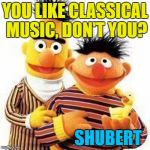 Inspired by Skrubbz :) | YOU LIKE CLASSICAL MUSIC, DON'T YOU? SHUBERT | image tagged in bert and ernie,memes,classical music,shubert,music,sesame street | made w/ Imgflip meme maker