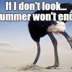 ostrich hide | If I don't look... summer won't end. | image tagged in ostrich hide | made w/ Imgflip meme maker