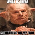 harry potter goblin | WHAT IS THERE; SOMETHING ON MY FACE | image tagged in harry potter goblin | made w/ Imgflip meme maker