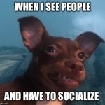 Awkward doggo | WHEN I SEE PEOPLE; AND HAVE TO SOCIALIZE | image tagged in awkward doggo | made w/ Imgflip meme maker