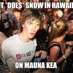 Yes, you mental midgets, IT DOES SNOW in bloody Hawaii!  | IT *DOES* SNOW IN HAWAII; ON MAUNA KEA | image tagged in sudden clarity clarence large | made w/ Imgflip meme maker