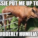 Udderly Stuck | BESSIE PUT ME UP TO IT! I'M UDDERLY HUMILIATED! | image tagged in cowstuck,cows | made w/ Imgflip meme maker
