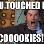 Tardis Derp | YOU TOUCHED MA; COOOOKIES!! | image tagged in tardis derp | made w/ Imgflip meme maker