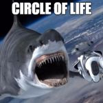 Circle of life | CIRCLE OF LIFE | image tagged in shark | made w/ Imgflip meme maker