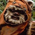 randomeowkmeme20170808