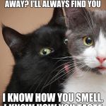 Creepy stalker cat | YOU THOUGHT YOU COULD GET AWAY? I'LL ALWAYS FIND YOU; I KNOW HOW YOU SMELL. I KNOW HOW YOU TASTE | image tagged in creepy stalker cat | made w/ Imgflip meme maker