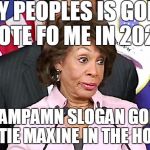 People would vote for her because she has a 'D' beside her name, her gender and race would only come second to the 'D'!  | MY PEOPLES IS GONE VOTE FO ME IN 2020; MY CAMPAMN SLOGAN GONE BE "AUNTIE MAXINE IN THE HOUSE!" | image tagged in maxine answers questions,maxine waters,mad max,democrat,2020 elections,memes | made w/ Imgflip meme maker