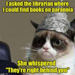 Grumpy, Paranoid Cat | I asked the librarian where I could find books on paranoia; She whispered; "They're right behind you" | image tagged in paranoid grumpy cat hd,memes,puns,paranoia | made w/ Imgflip meme maker
