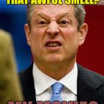 Al Gore | EWWWW!!!!! WHAT'S THAT AWFUL SMELL? MY MOVIE? | image tagged in al gore | made w/ Imgflip meme maker
