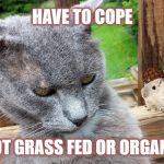 First world cat problem | HAVE TO COPE; NOT GRASS FED OR ORGANIC | image tagged in cat rage,scumbag,first world problems | made w/ Imgflip meme maker