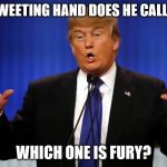 Donald trump hands real | WHICH TWEETING HAND DOES HE CALL FIRE AND; WHICH ONE IS FURY? | image tagged in donald trump hands real | made w/ Imgflip meme maker